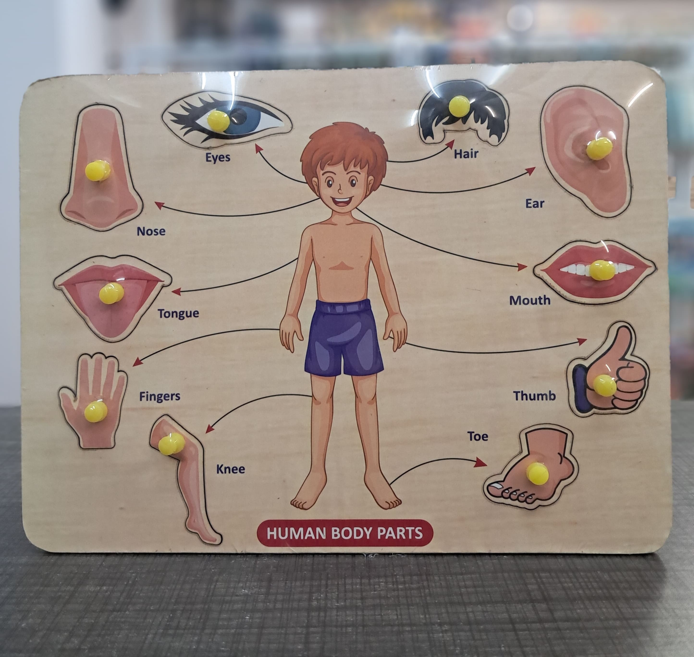 Wooden Peg Board - Body Parts