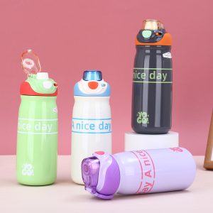 Seaygift Steanless Steel Water Bottle (650ml)